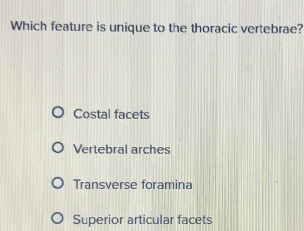 Solved: Which feature is unique to the thoracic vertebrae? Costal ...