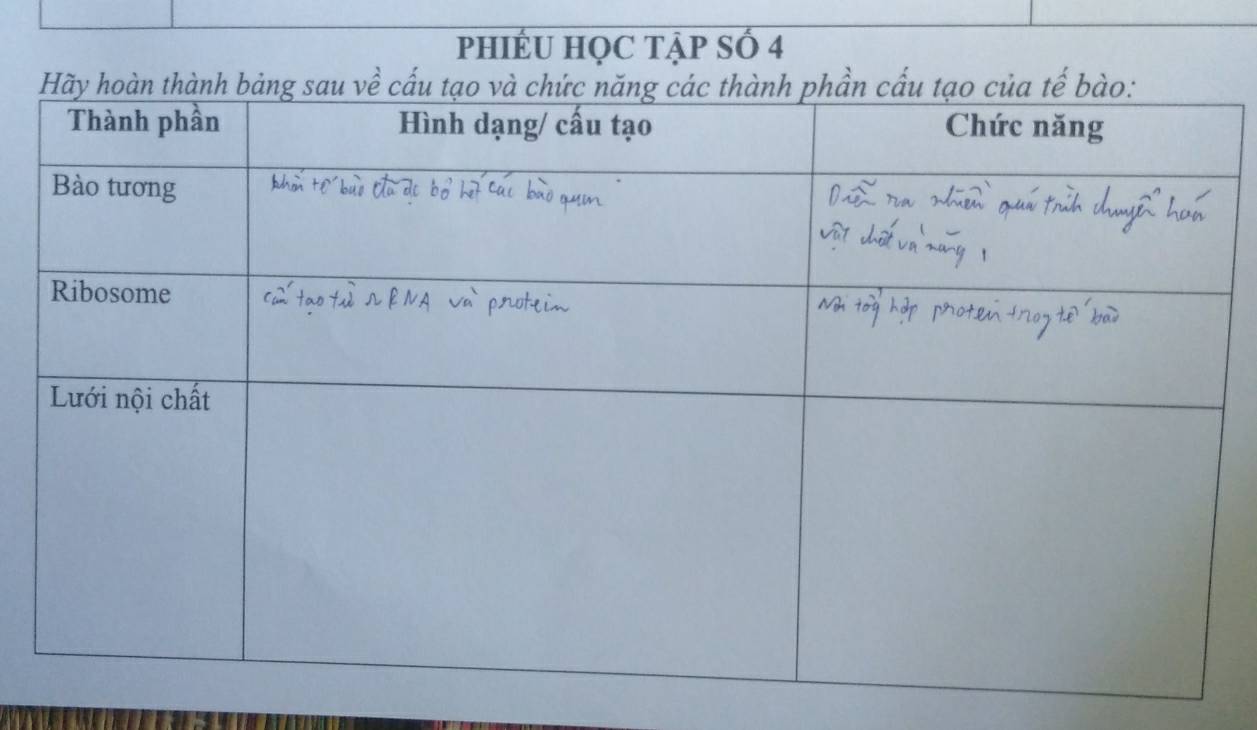 pHIÉU HỌC TẠP Số 4