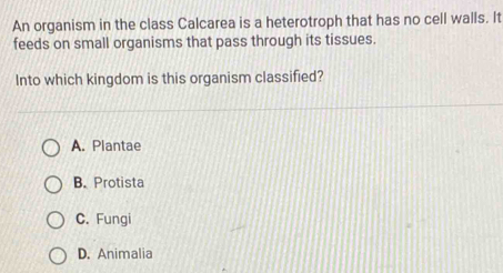 An organism in the class Calcarea is a heterotroph that has no cell walls. It
feeds on small organisms that pass through its tissues.
Into which kingdom is this organism classified?
A. Plantae
B. Protista
C. Fungi
D. Animalia