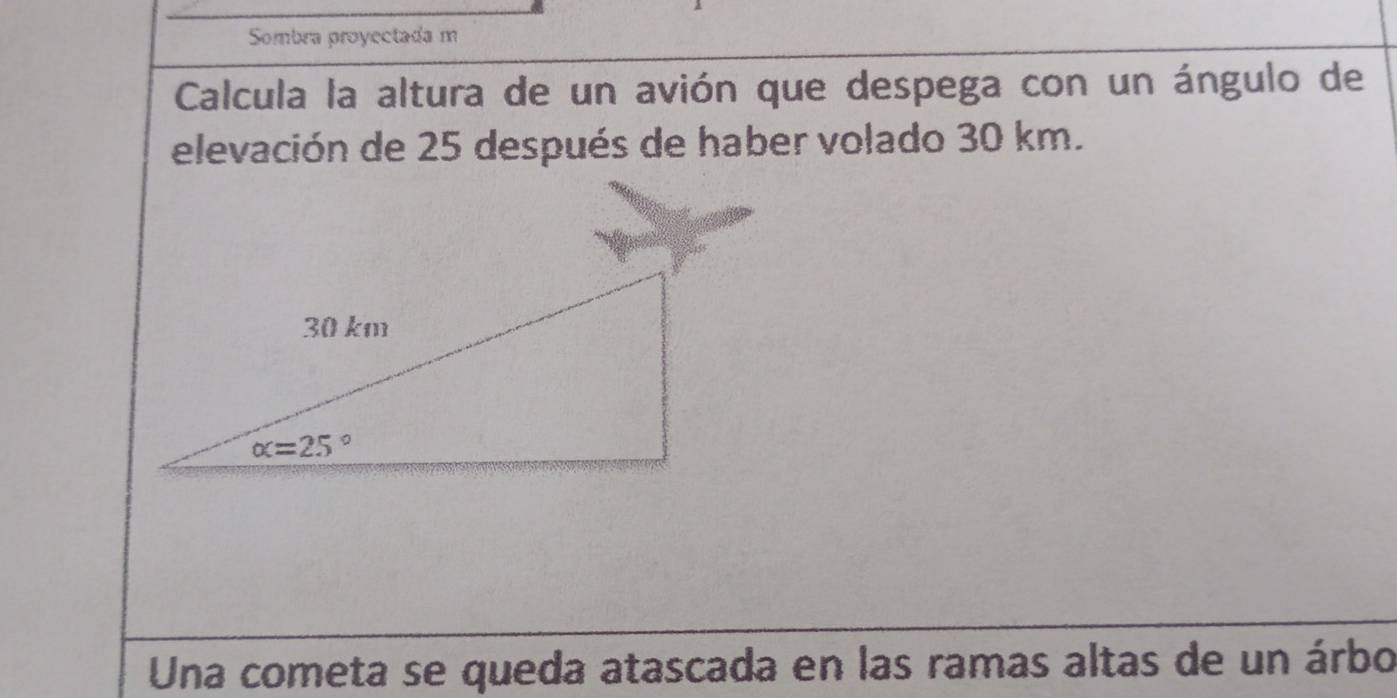 Sombra proyectada m
Calcula la altura de un avión que despega con un ángulo de
elevación de 25 después de haber volado 30 km.
Una cometa se queda atascada en las ramas altas de un árbo