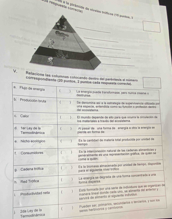 ua respuesta correcta) 
es a la pirámide de niveles t 
V. acione las columnas colocando dentro del paréntes 
correspondi 
j. 
Termodinámica