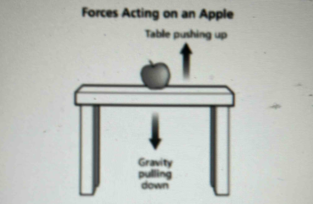 Forces Acting on an Apple