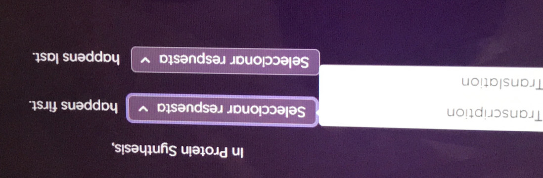 In Protein Synthesis, 
Transcription Seleccionar respuesta happens first. 
Translation 
Seleccionar respuesta happens last.