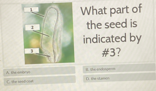 What part of
the seed is
indicated by
#3?
A. the embryo B. the endosperm
C. the seed coat D. the stamen