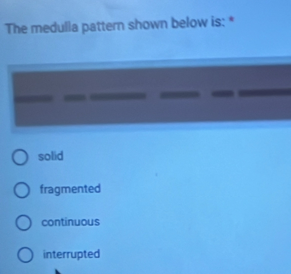 The medulla pattern shown below is: *
solid
fragmented
continuous
interrupted