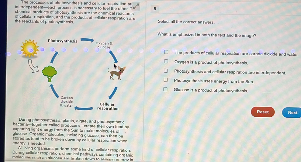 Solved: The processes of photosynthesis and cellular respiration ar ...