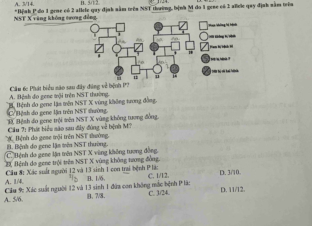 A. 3/14. B. 5/12. C 1724.
*Bệnh P do 1 gene có 2 allele quy định nằm trên NST thường, bệnh M do 1 gene có 2 allele quy định nằm trên
NST X vùng không tương đồng.
Câu 6: Phát biểu nào sau đây đúng về bệnh P?
A. Bệnh do gene trội trên NST thường.
B. Bệnh do gene lặn trên NST X vùng không tương đồng.
C. Bệnh do gene lặn trên NST thường.
D. Bệnh do gene trội trên NST X vùng không tương đồng.
Câu 7: Phát biểu nào sau đây đúng về bệnh M?
A. Bệnh do gene trội trên NST thường.
B. Bệnh do gene lặn trên NST thường.
C. Bệnh do gene lặn trên NST X vùng không tương đồng.
D. Bệnh do gene trội trên NST X vùng không tương đồng.
Câu 8: Xác suất người 12 và 13 sinh 1 con trai bệnh P là:
A. 1/4. B. 1/6. C. 1/12.
D. 3/10.
Câu 9: Xác suất người 12 và 13 sinh 1 đứa con không mắc bệnh P là:
B. 7/8.
A. 5/6. C. 3/24.
D. 11/12.