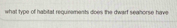 what type of habitat requirements does the dwarf seahorse have
