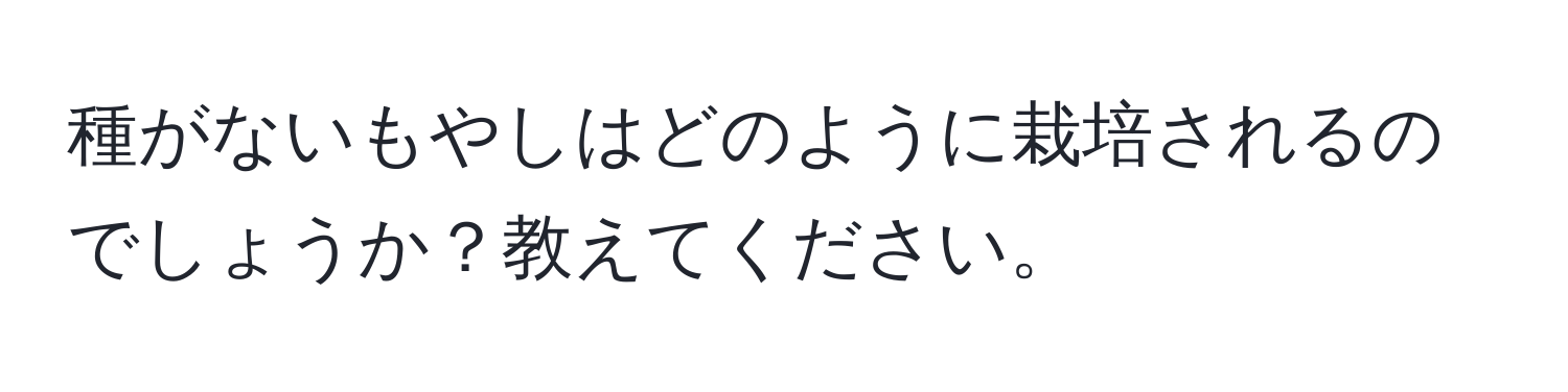 種がないもやしはどのように栽培されるのでしょうか？教えてください。