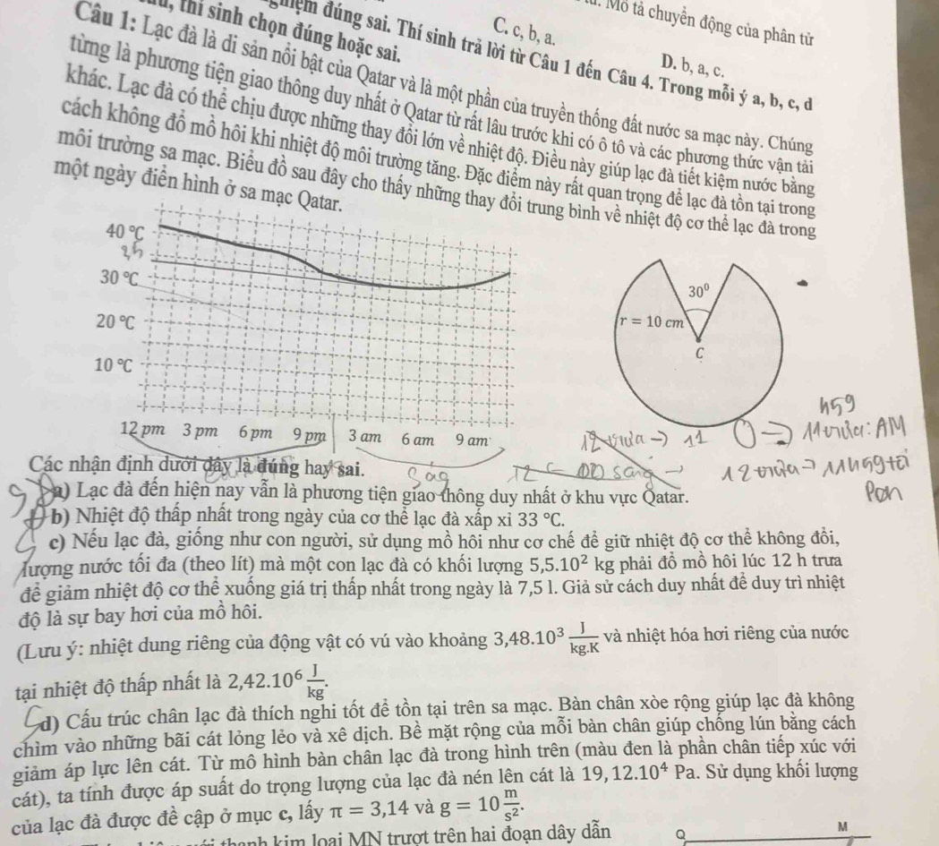 Mô tả chuyển động của phân tử
C. c, b, a.
, thi sinh chọn đúng hoặc sai.
Sệ m đúng sai. Thí sinh trả lời từ Câu 1 đến Câu 4. Trong mỗi ý a, b, c, ở
D. b, a, c.
Câu 1: Lạc đà là di sản nổi bật của Qatar và là một phần của truyền thống đất nước sa mạc này. Chúng
từng là phương tiện giao thông duy nhất ở Qatar từ rất lâu trước khi có ô tô và các phương thức vận tả
khác. Lạc đà có thể chịu được những thay đổi lớn về nhiệt độ. Điều này giúp lạc đà tiết kiệm nước bằng
cách không đồ mồ hôi khi nhiệt độ môi trường tăng. Đặc điểm này rất quan trọng để lạc đà tồn tại trong
một ngày điễn hình ở sa m
môi trường sa mạc. Biểu đồ sau đây cho thấy nhữg bình về nhiệt độ cơ thể lạc đà trong
Các nhận định dưới dây là đúng hay sai.
a) Lạc đà đến hiện nay vẫn là phương tiện giao thông duy nhất ở khu vực Qatar.
b) Nhiệt độ thấp nhất trong ngày của cơ thể lạc đà xấp xỉ 33°C.
c) Nếu lạc đà, giống như con người, sử dụng mồ hôi như cơ chế để giữ nhiệt độ cơ thể không đồi,
Mượng nước tối đa (theo lít) mà một con lạc đà có khối lượng 5,5.10^2 kg phải đồ mồ hôi lúc 12 h trưa
để giảm nhiệt độ cơ thể xuống giá trị thấp nhất trong ngày là 7,5 l. Giả sử cách duy nhất đề duy trì nhiệt
độ là sự bay hơi của mồ hôi.
(Lưu ý: nhiệt dung riêng của động vật có vú vào khoảng 3,48.10^3 J/kg.K  và nhiệt hóa hơi riêng của nước
tại nhiệt độ thấp nhất là 2,42.10^6 J/kg .
d) Cấu trúc chân lạc đà thích nghi tốt để tồn tại trên sa mạc. Bàn chân xòe rộng giúp lạc đà không
chìm vào những bãi cát lỏng lẻo và xê dịch. Bề mặt rộng của mỗi bàn chân giúp chống lún bằng cách
giảm áp lực lên cát. Từ mô hình bàn chân lạc đà trong hình trên (màu đen là phần chân tiếp xúc với
cát), ta tính được áp suất do trọng lượng của lạc đà nén lên cát là 19,12.10^4Pa. Sử dụng khối lượng
của lạc đà được đề cập ở mục c, lấy π =3,14 và g=10 m/s^2 .
nh kim loại MN trượt trên hai đoạn dây dẫn Q M