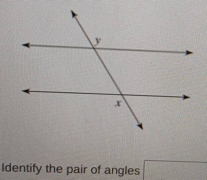 Identify the pair of angles