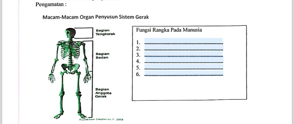 Pengamatan : 
Macam-Macam Organ Penyusun Sistem Gerak 
Fungsi Rangka Pada Manusia 
1._ 
2._ 
3._ 
4._ 
5._ 
6._