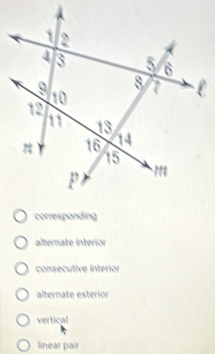 corresponding
alternate interior
consecutive interior
alternate exterior
vertical
linear pair