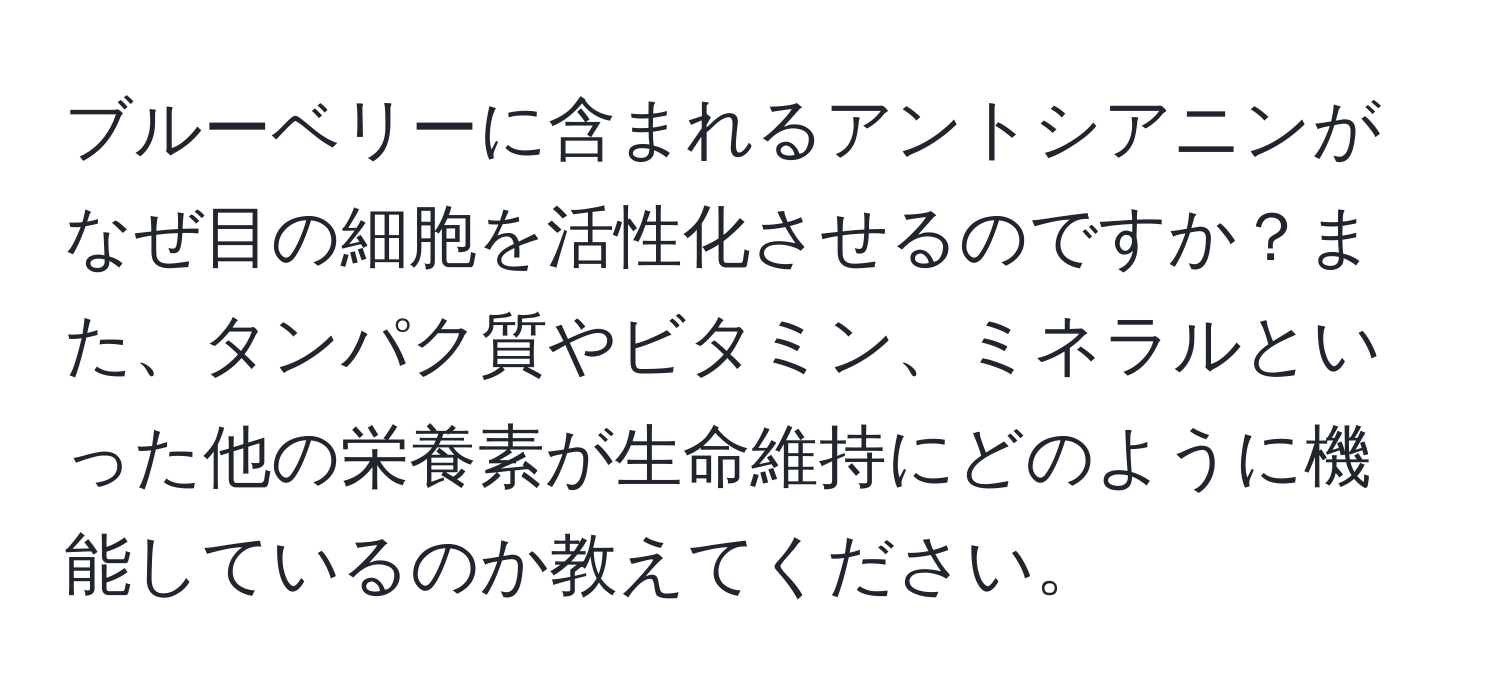 ブルーベリーに含まれるアントシアニンがなぜ目の細胞を活性化させるのですか？また、タンパク質やビタミン、ミネラルといった他の栄養素が生命維持にどのように機能しているのか教えてください。