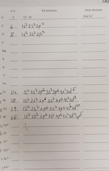 TAS 
e s full structure short structure 
Li 3 1s^22s^1 _[He] 2s^1 _ 
_ 
C 
_ 
_ 
_ 
。 
_ 
_ 
_ 
F 
_ 
_ 
Mg 
_ 
_ 
_ 
_ 
s 
_ 
_ 
K 
_ 
_ 
_ 
_ 
Ti 
_ 
_ 
_ 
_ 
_ 
_ 
_ 
_ 
_ 
Ni 
_ 
_ 
_ 
_ 
Br 
_ 
_ 
_ 
_ 
_ 
_ 
_ 
_ 
_ 
_ 
__ 
_ 
_ 
_ 
_ 
_ 
_ 
_ 
_ 
_