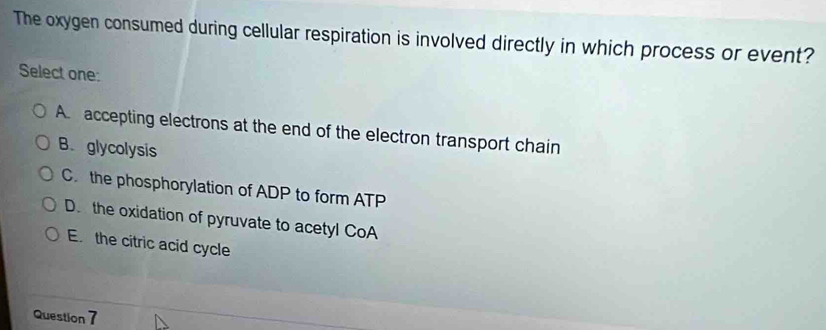 The oxygen consumed during cellular respiration is involved directly in which process or event?
Select one:
A accepting electrons at the end of the electron transport chain
B. glycolysis
C. the phosphorylation of ADP to form ATP
D. the oxidation of pyruvate to acetyl CoA
E. the citric acid cycle
Question 7