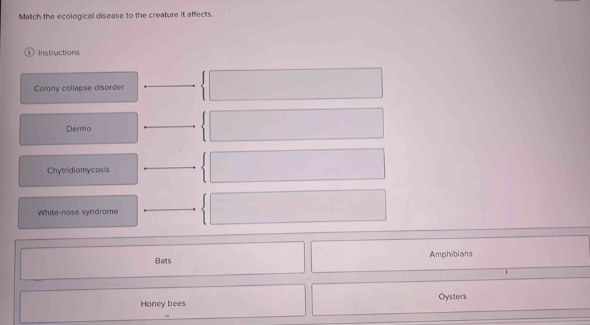 Match the ecological disease to the creature it affects. 
Instructions 
Colony collapse disorder 
Dermo 
Chytridiomycosis 
White-nose syndrome 
Bats Amphibians 
Honey bees Oysters