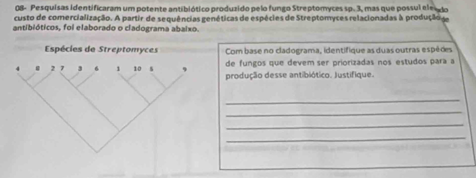 08- Pesquisas identificaram um potente antibiótico produzido pelo fungo Streptomyces sp. 3, mas que possul ele do 
custo de comercialização. A partir de sequências genéticas de espécies de Streptomyces relacionadas à produção de 
antibióticos, foi elaborado o cladograma abaixo. 
Com base no cladograma, identifique as duas outras espèces 
de fungos que devem ser priorizadas nos estudos para a 
produção desse antibiótico. Justifique. 
_ 
_ 
_ 
_