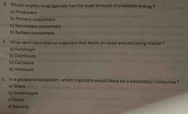 Which trophic level typically has the least amount of available energy?
a) Producers
b) Primary consumers
c) Secondary consumers
d) Tertiary consumers
4. What term describes an organism that feeds on dead and decaying matter?
a) Autotroph
b) Detritivore
c) Carnivore
d) Herbivore
5. In a grassland ecosystem, which organism would likely be a secondary consumer?
a) Grass
b) Grasshopper
c) Snake
d) Bacteria