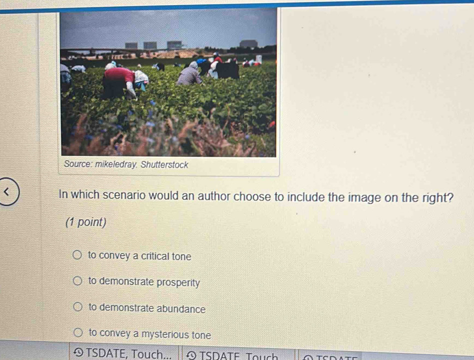 < In which scenario would an author choose to include the image on the right?
(1 point)
 to convey a critical tone
to demonstrate prosperity
to demonstrate abundance
to convey a mysterious tone
TSDATE, Touch... ∞ TSDATF Touch TCo