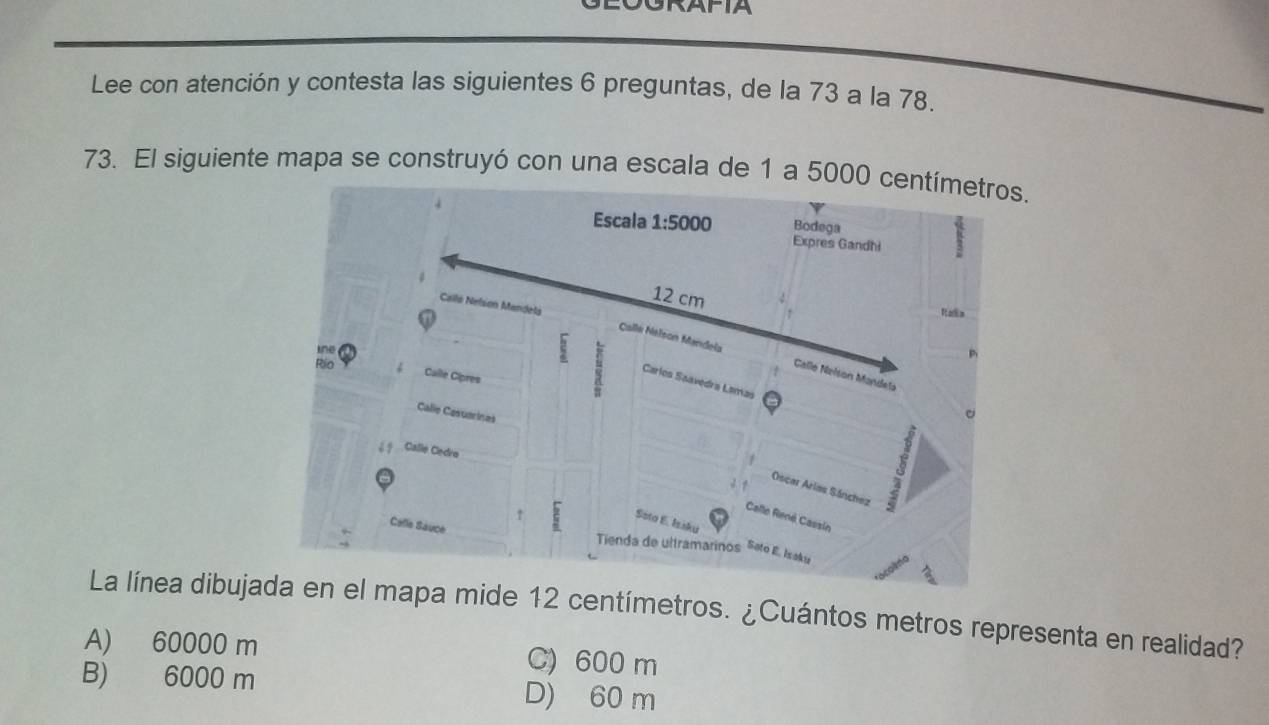 GRAFIA
Lee con atención y contesta las siguientes 6 preguntas, de la 73 a la 78.
73. El siguiente mapa se construyó con una escala de 1 a 5000 centímetros.
Escala 1:5000 Bodega
Expres Gandh
12 cm
Calló Nelson Mandels
Ralis
tne
Cialle Nelson Mandela Calle Nalson Mandeta
Rio
Calle Cipres
Carlos Saavedra Lamas
Calle Casuerines
é ? Calle Cedro
Oscar Arias Sánchez
Calle René Cassin
Soto E. Issku
Celle Sauce
Tienda de ultramarinos Sato E. Isaku
La línea dibujada en el mapa mide 12 centímetros. ¿Cuántos metros representa en realidad?
A) 60000 m C) 600 m
B) 6000 m D) 60 m