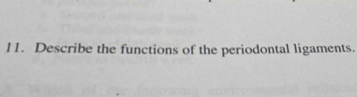 Describe the functions of the periodontal ligaments.