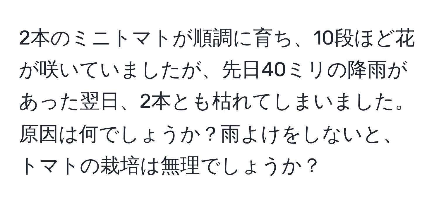 2本のミニトマトが順調に育ち、10段ほど花が咲いていましたが、先日40ミリの降雨があった翌日、2本とも枯れてしまいました。原因は何でしょうか？雨よけをしないと、トマトの栽培は無理でしょうか？