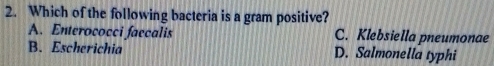 Which of the following bacteria is a gram positive?
A. Enterococci faccalis C. Klebsiella pneumonae
B. Escherichia D. Salmonella typhi
