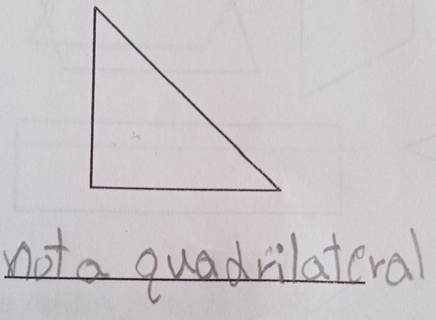 not a quadrilateral