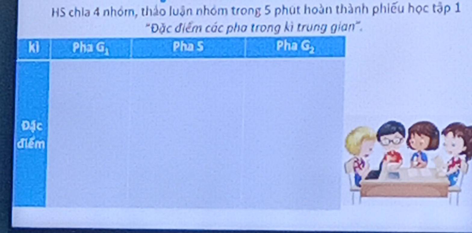 HS chia 4 nhóm, thảo luận nhóm trong 5 phút hoàn thành phiếu học tập 1
"Đặc điểm các pha trong kì trung gian".