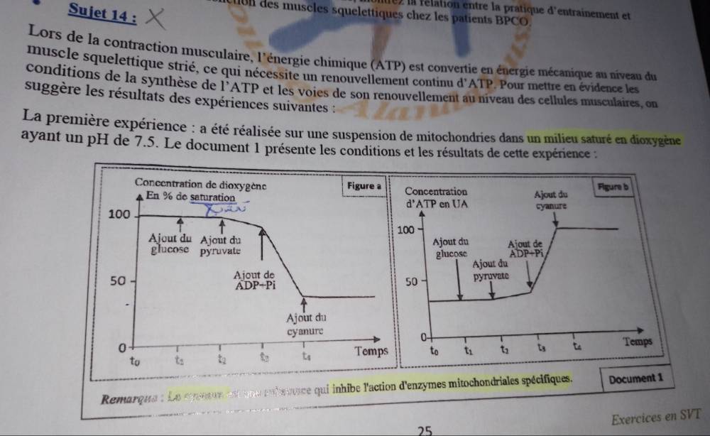 ires la rélation entre la pratique d'entrainement et
Sujet 14 :
l des muscles squelettiques chez les patients BPCO.
Lors de la contraction musculaire, l'énergie chimique (ATP) est convertie en énergie mécanique au niveau du
muscle squelettique strié, ce qui nécessite un renouvellement continu d'ATP. Pour mettre en évidence les
conditions de la synthèse de l’ATP et les voies de son renouvellement au niveau des cellules musculaires. on
suggère les résultats des expériences suivantes :
La première expérience : a été réalisée sur une suspension de mitochondries dans un milieu saturé en dioxygène
ayant un pH de 7.5. Le document 1 présente les conditions et les résultats de cette expérience :
Concentration de dioxygène Figure a
En % de saturation 
100 
Ajout du Ajout du 
glucose pyruvate 
50
Ajout de 
ADP+Pi 
.
Ajout du
cyanure
0
to t_2 t_2 t_3 t_4 Temp
Remarqus Le squun est unu pulsuuace qui inhibe l'action d'enzymes mitochondriales spécifiques. Document 1
Exercices en SVT
25