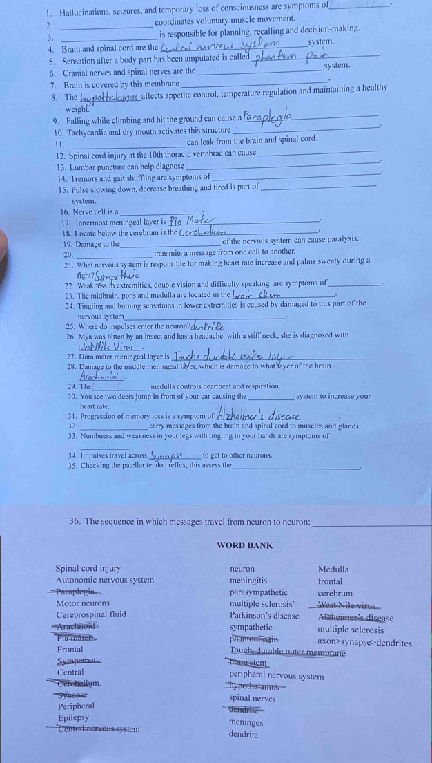 Hallucinations, seizures, and temporary loss of consciousness are symptoms of_ .
2. _coordinates voluntary muscle movement.
_
is responsible for planning, recalling and decision-making.
4. Brain and spinal cord are the _system.
5. Sensation after a body part has been amputated is called_
_
6. Cranial nerves and spinal nerves are the _system.
7. Brain is covered by this membrane
8. The_ affects appetite control, temperature regulation and maintaining a healthy
9. Falling while climbing and hit the ground can cause a
_
weight.
10. Tachycardia and dry mouth activates this structure
_
11._
can leak from the brain and spinal cord.
12. Spinal cord injury at the 10th thoracic vertebrae can cause
_
13. Lumbar puncture can help diagnose
_
14. Tremors and gait shuffling are symptoms of
_
15. Pulse slowing down, decrease breathing and tired is part of_
system.
16. Nerve cell is a_
17. Innermost meningeal layer is_
18. Locate below the cerebrum is the_
19. Damage to the_ of the nervous system can cause paralysis.
20._ transmits a message from one cell to another.
21. What nervous system is responsible for making heart rate increase and palms sweaty during a
fight?
22. Weakness in extremities, double vision and difficulty speaking are symptoms of _.
23. The midbrain, pons and medulla are located in the_
24. Tingling and burning sensations in lower extremities is caused by damaged to this part of the
nervous system_
25. Where do impulses enter the neuron?
26. Mya was bitten by an insect and has a headache with a stiff neck, she is diagnosed with
_
27. Dura mater meningeal layer is_
28. Damage to the middle meningeal layer, which is damage to what layer of the brain
_
29. The medulla controls heartbeat and respiration.
30. You see two deers jump in front of your car causing the_ system to increase you
heart rate.
31. Progression of memory loss is a symptom of
.
32. _carry messages from the brain and spinal cord to muscles and glands.
33. Numbness and weakness in your legs with tingling in your hands are symptoms of
_
34. Impulses travel across to get to other neurons.
35. Checking the patellar tendon reflex, this assess the_
36. The sequence in which messages travel from neuron to neuron:_
WORD BANK
Spinal cord injury neuron Medulla
Autonomic nervous system meningitis frontal
Paraplegi parasympathetic cerebrum
Motor neurons multiple sclerosis West Nile virus
Cerebrospinal fluid Parkinson's disease Alzheimer's disease
''Arachnoid'' sympathetic multiple sclerosis
Pia mâter phanton pain axon>synapse>dendrites
Frontal Tough, durable outer membrane
Sympathetic brain stem
Central
peripheral nervous system
Cerebellum hypothalamus===
*'Synapse spinal nerves
Peripheral
Epilepsy meninges
Central nervous system dendrite