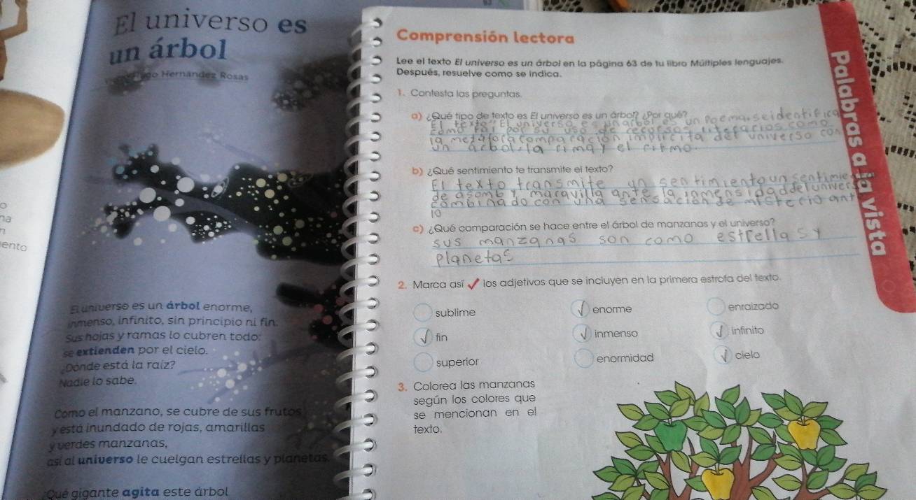 El universo es
un árbol
Comprensión lectora
Lee el texto El universo es un árbol en la página 63 de tu libro Múltiples lenguajes.
10 Hernán dez Rošas Después, resuelve como se indica.
1. Contesta las preguntas
_
a) ¿Qué tipo de texto es El universo es un árbol? ¿Por qué?
_
_
b) ¿Qué sentimiento te transmite el texto?
_
a
_
a
19
c) ¿Qué comparación se hace entre el árbol de manzanas y el universo?
_
ento
_
2. Marca así los adjetivos que se incluyen en la primera estrofa del texto.
El universo es un árbol enorme, sublime enorme
inmenso, infinito, sin principio ni fin. enraizado
Sus hojas y ramas lo cubren todo: fin infinito
se extienden por el cielo. √inmenso
Dónde está la raíz? superior enormidad
Nadie lo sabe. cielo
3. Colorea las manzanas
Como el manzano, se cubre de sus frutos según los colores que
v está inundado de rojas, amarillas texto. se mencionan en el
y verdes manzanas,
así al universo le cuelgan estrellas y planetas.
Qué gigante agita este árbol