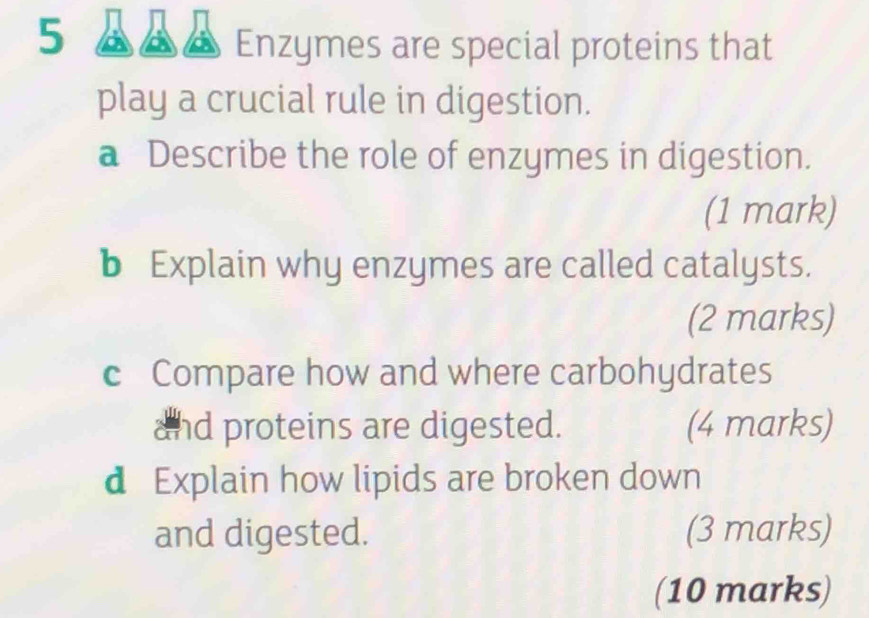 Enzymes are special proteins that 
play a crucial rule in digestion. 
a Describe the role of enzymes in digestion. 
(1 mark) 
b Explain why enzymes are called catalysts. 
(2 marks) 
c Compare how and where carbohydrates 
and proteins are digested. (4 marks) 
d Explain how lipids are broken down 
and digested. (3 marks) 
(10 marks)