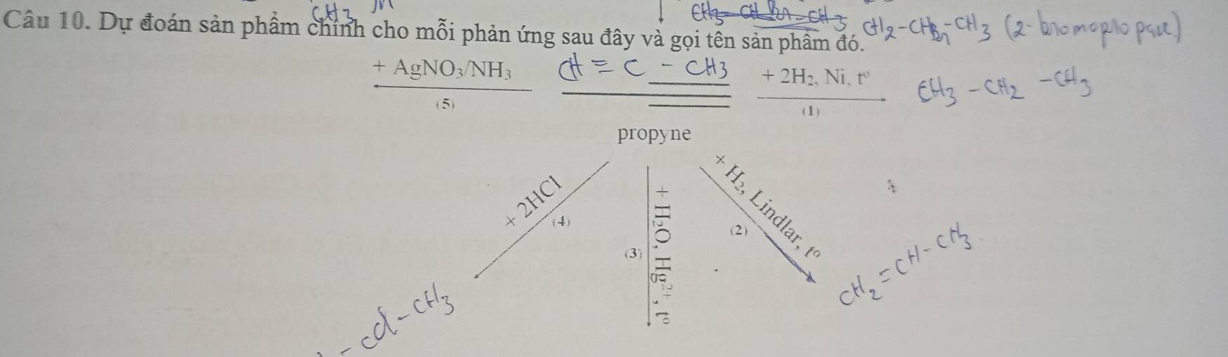 Dự đoán sản phẩm chính cho mỗi phản ứng sau đây và gọi tên sản phẩm đó.
+AgNO_3/NH_3
+2H_2
(5) 
propyne
+2HCl e (2) 
(3)