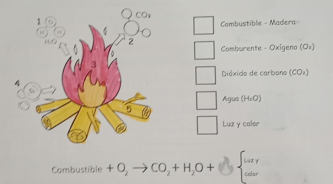 Combustible - Madera
Comburente - Oxígeno (O_2)
Dióxido de carbono (CO_2)
Agua (H_2O)
Luz y calor
Combustible +O_2to CO_2+H_2O+ beginarrayl Luzy calarendarray.