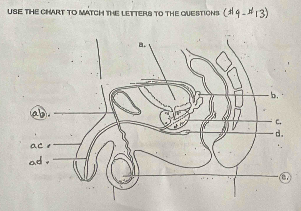 USE THE CHART TO MATCH THE LETTERS TO THE QUESTIONS