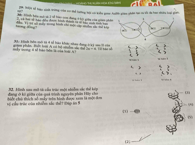 HOẢNG THI XUÂN HOA (Chủ biên] D
tử? *29: Một tế bảo sinh trứng của cơ thể lưỡng bội có kiểu gene AaBb giám phân tạo ra tối đa bao nhiêu loại giao,
30: Hình bên mô tả 2 tế bào con đang ở kỳ giữa của giảm phâ
2, cả hai tế bào đều được hình thành từ tế bảo sinh tinh ban
đầu, Vị trí số mấy trong hình chỉ một cặp nhiễm sắc thể kép
tương đồng?
31: Hình bên mô tả 4 tế bào khác nhau đang ở kỳ sau II của
giảm phân. Biết loài A có bộ nhiễm sắc thể 2n=4
mấy trong 4 tế bào bên là của loài A? . Tế bào số 
Tổ bào 1 Tế bào 2
( )
lè bào k Tê bào 4
32. Hình sau mô tả cấu trúc một nhiễm sắc thể kép
dang ở kì giữa của quá trình nguyên phân Hãy cho (3)
biết chú thích số mấy trên hình được xem là một đơn
vị cấu trúc của nhiễm sắc thể? Đáp án 5 (4)
(1)
(5)
(2)