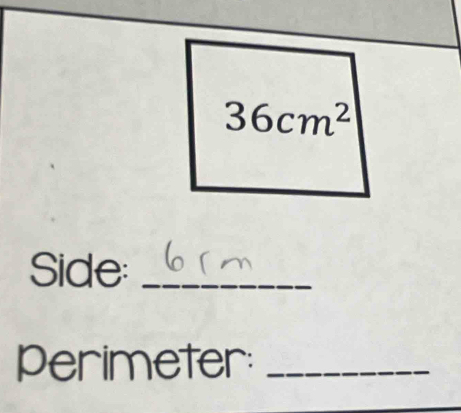 36cm^2
Side:_ 
perimeter:_