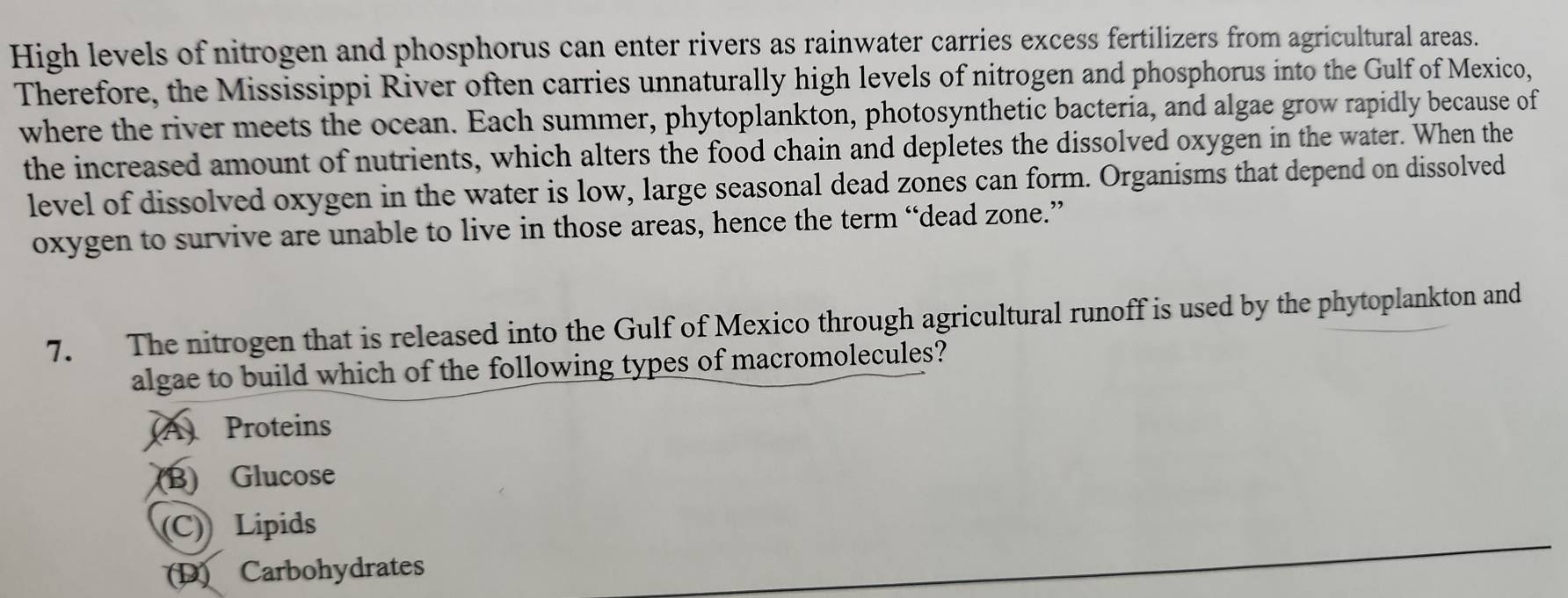 High levels of nitrogen and phosphorus can enter rivers as rainwater carries excess fertilizers from agricultural areas.
Therefore, the Mississippi River often carries unnaturally high levels of nitrogen and phosphorus into the Gulf of Mexico,
where the river meets the ocean. Each summer, phytoplankton, photosynthetic bacteria, and algae grow rapidly because of
the increased amount of nutrients, which alters the food chain and depletes the dissolved oxygen in the water. When the
level of dissolved oxygen in the water is low, large seasonal dead zones can form. Organisms that depend on dissolved
oxygen to survive are unable to live in those areas, hence the term “dead zone.”
7. The nitrogen that is released into the Gulf of Mexico through agricultural runoff is used by the phytoplankton and
algae to build which of the following types of macromolecules?
(A) Proteins
(B) Glucose
(C) Lipids
(D) Carbohydrates