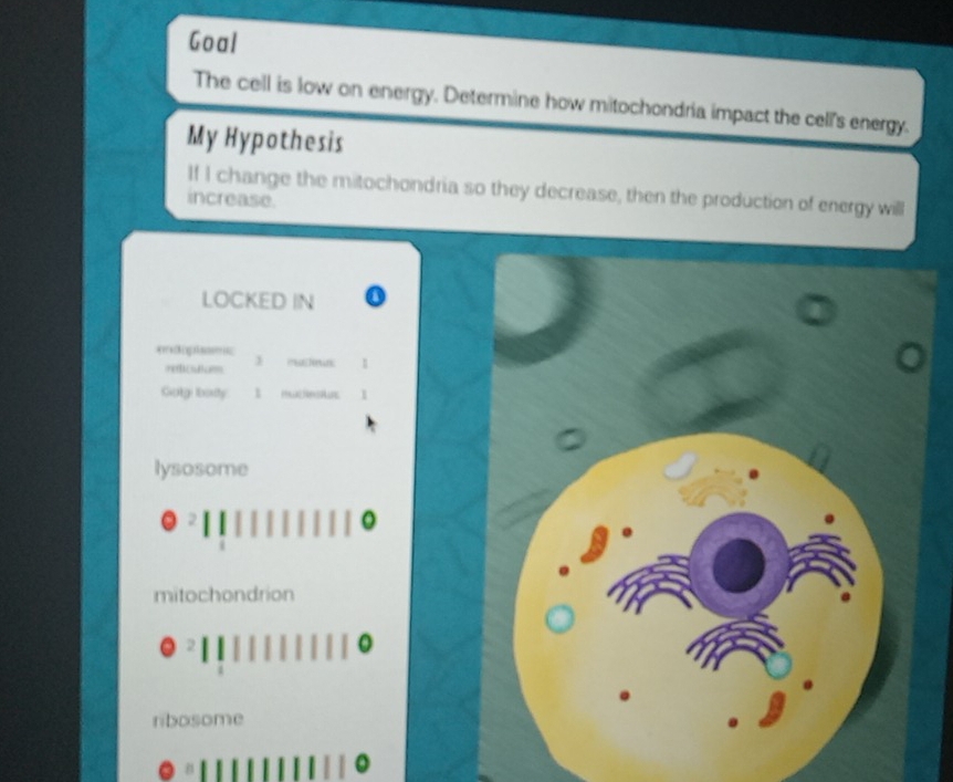 Goal
The cell is low on energy. Determine how mitochondria impact the cell's energy.
My Hypothesis
If I change the mitochondria so they decrease, then the production of energy will
increase.
LOCKED IN
recuiom 3 mactnu
Gotg: lboty I
lysosome
mitochondrion
2
ribosome