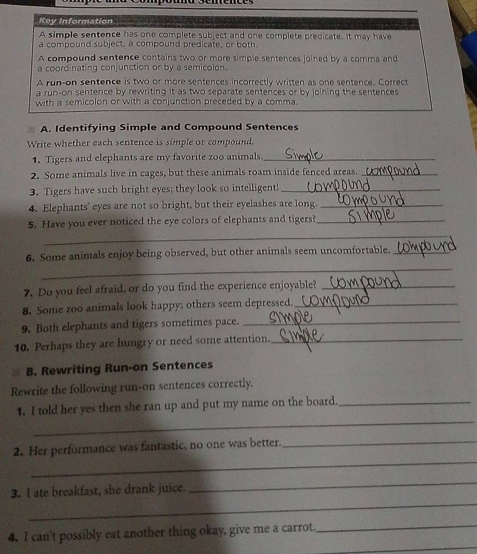 Key Information 
A simple sentence has one complete subject and one complete predicate. It may have 
a compound subject, a compound predicate, or both. 
A compound sentence contains two or more simple sentences joined by a comma and 
a coordinating conjunction or by a semicolon. 
A run-on sentence is two or more sentences incorrectly written as one sentence. Correct 
a run-on sentence by rewriting it as two separate sentences or by joining the sentences 
with a semicolon or with a conjunction preceded by a comma. 
A. Identifying Simple and Compound Sentences 
Write whether each sentence is simple or compound. 
1. Tigers and elephants are my favorite zoo animals._ 
2. Some animals live in cages, but these animals roam inside fenced areas._ 
3. Tigers have such bright eyes; they look so intelligent!_ 
4. Elephants’ eyes are not so bright, but their eyelashes are long._ 
5. Have you ever noticed the eye colors of elephants and tigers?_ 
_ 
6. Some animals enjoy being observed, but other animals seem uncomfortable._ 
_ 
7. Do you feel afraid, or do you find the experience enjoyable?_ 
8. Some zoo animals look happy; others seem depressed._ 
9. Both elephants and tigers sometimes pace._ 
10. Perhaps they are hungry or need some attention._ 
B. Rewriting Run-on Sentences 
Rewrite the following run-on sentences correctly. 
_ 
1. I told her yes then she ran up and put my name on the board._ 
_ 
2. Her performance was fantastic, no one was better._ 
_ 
_ 
3. I ate breakfast, she drank juice. 
_ 
4. I can't possibly eat another thing okay, give me a carrot. 
_