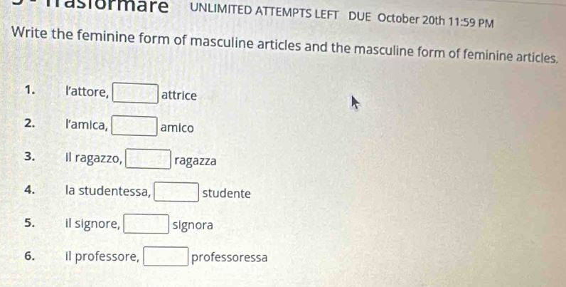 Tastormare a UNLIMITED ATTEMPTS LEFT DUE October 20th 11:59 PM 
Write the feminine form of masculine articles and the masculine form of feminine articles, 
l’attore, attrice 
2. l'amica, amico 
3. 
il ragazzo, ragazza 
4. la studentessa, studente 
5. il signore, signora 
6. 
il professore, □ > professoressa