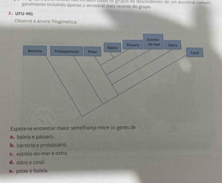 demtodos os grupos de descendentes de um ancestral comum,
geralmente incluindo apenas o ancestral mais recente do grupo.
3、 UFU-MG
Observe a árvore filogenética:
Espera-se encontrar maior semelhança entre os genes de
a. baleia e pássaro.
b. bactéria e protozoário.
c estrela-do-mar e ostra
d ostra e coral.
e peixe e baleia.