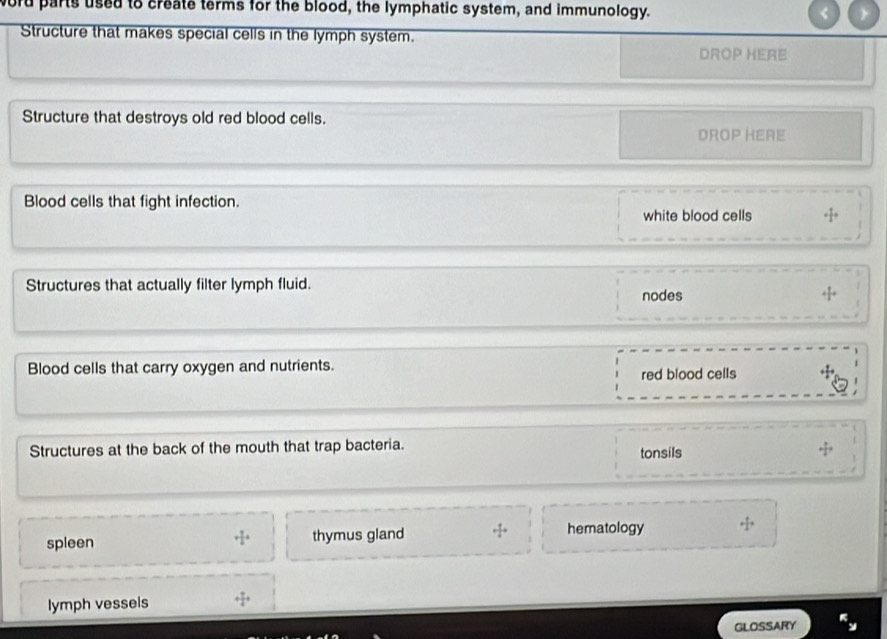 word parts used to create terms for the blood, the lymphatic system, and immunology. < 
Structure that makes special cells in the lymph system.
DROP HERE
 Structure that destroys old red blood cells.
DROP HERE
Blood cells that fight infection.
white blood cells
Structures that actually filter lymph fluid.
nodes
Blood cells that carry oxygen and nutrients.
red blood cells
Structures at the back of the mouth that trap bacteria. tonsils
spleen + 7/4 + thymus gland hematology
lymph vessels
GLOSSARY