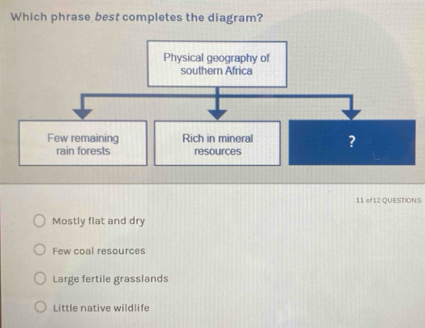 Which phrase best completes the diagram?
Physical geography of
southern Africa
Few remaining Rich in mineral ?
rain forests resources
11 ef12 QUESTION S
Mostly flat and dry
Few coal resources
Large fertile grasslands
Little native wildlife