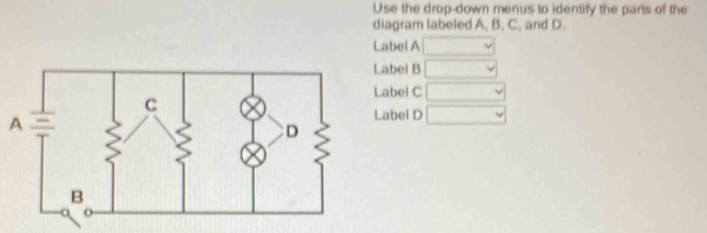 Solved: Use the drop-down menus to identify the parts of the diagram ...