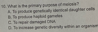 What is the primary purpose of meiosis?
A. To produce genetically identical daughter cells
B. To produce haploid gametes
C. To repair damaged DNA
D. To increase genetic diversity within an organism