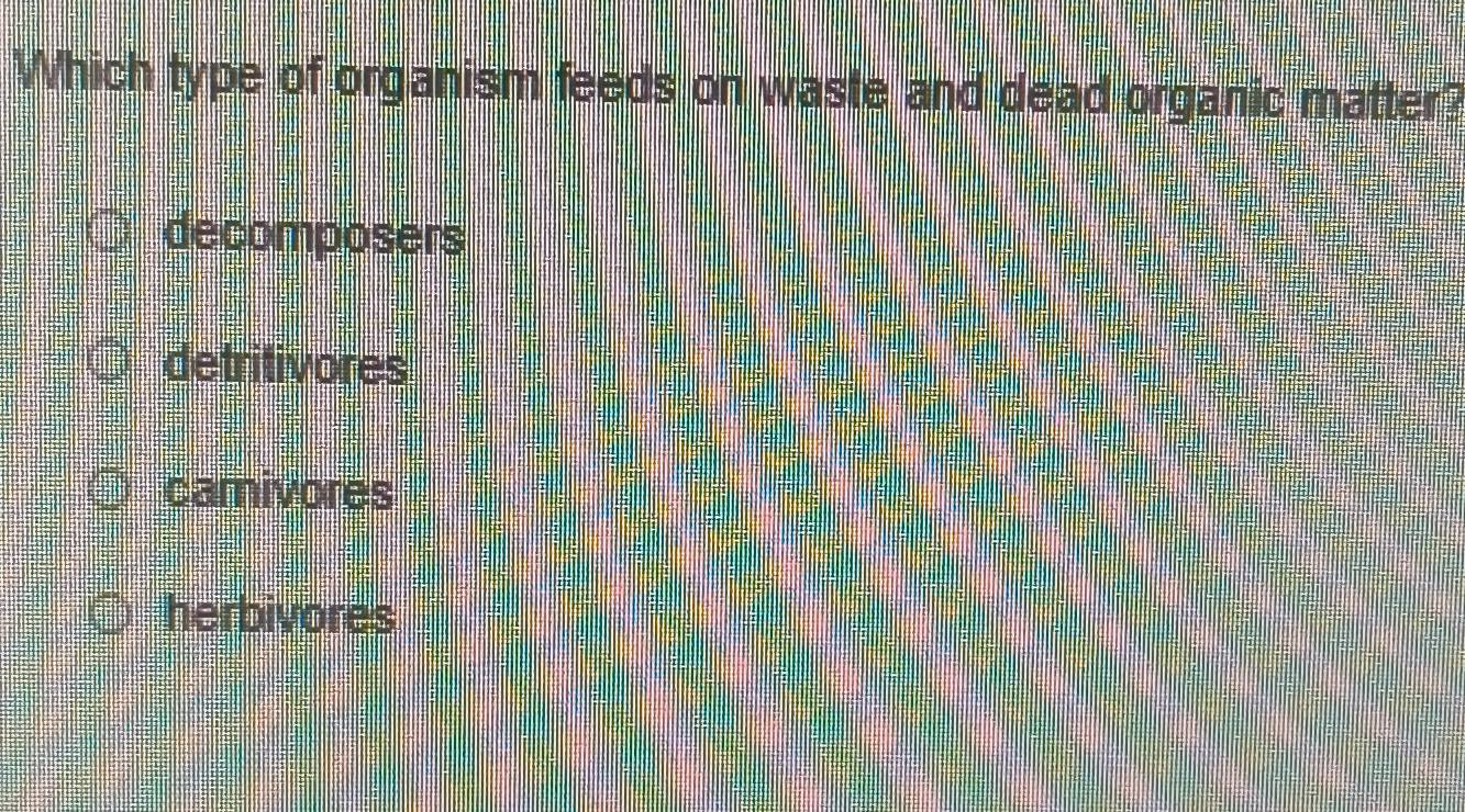 Which type of organism feeds on waste and dead organic matter?
decomposers
detritivores
camivores
herbivores