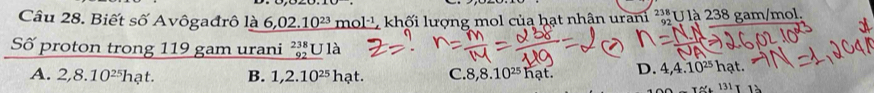 Biết số Avôgađrô là 6,02.10^(23) m 1^(-1) , khối lượng mol của hạt nhân urani sqrt[4]() l*U là 238 gam/mol,
Số proton trong 119 gam urani beginarrayr 238 92 hline endarray UIa
A. 2,8.10^(25)hat. B. 1,2.10^(25)hat. C. 8,8.10^(25)hat. D. 4,4.10^(25)hat. 
_ T≌ 131